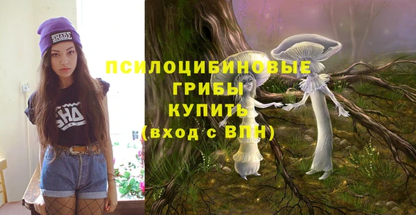 mdpv Алексин