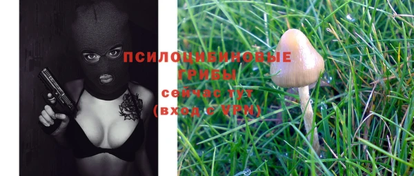 дживик Алексеевка